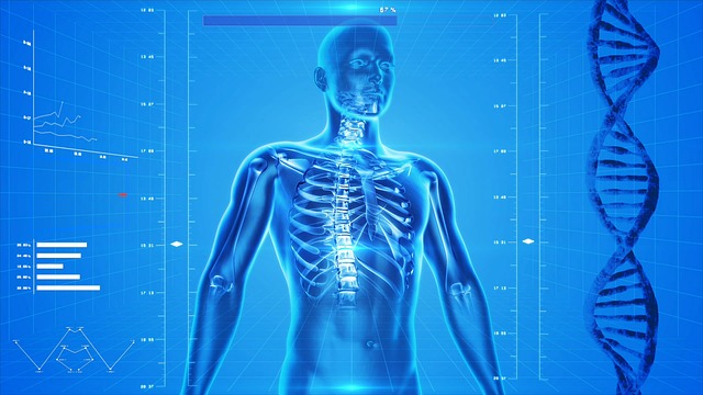 Wirkung von Vitamin K2 auf Osteoporose